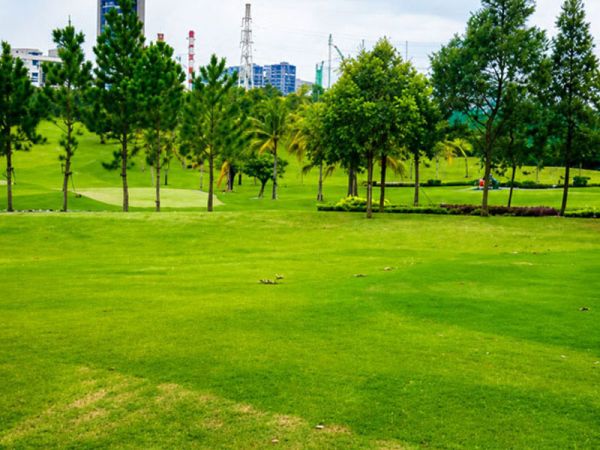 Đơn vị thiết kế và thi công cảnh quan sân golf chuyên nghiệp
