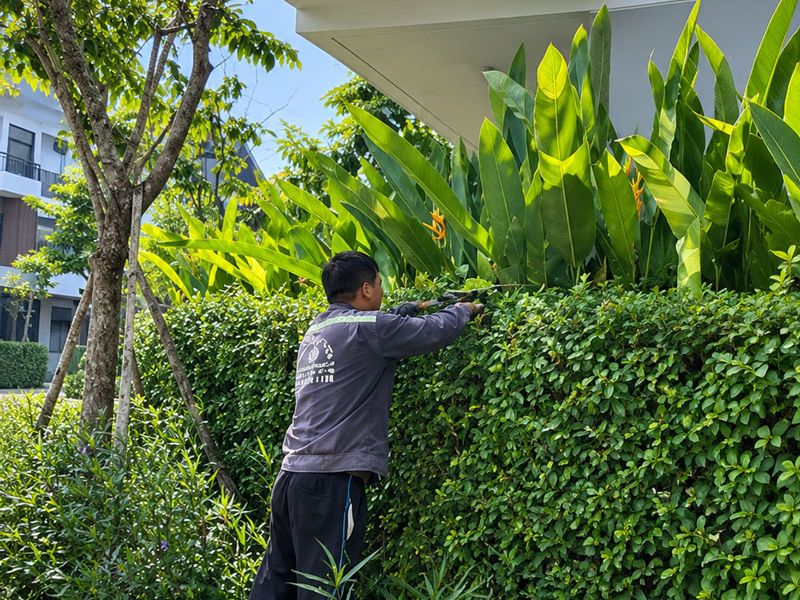 Trồng cây đúng cách, kiến tạo cảnh quan đẹp cùng cây xanh tuệ kha