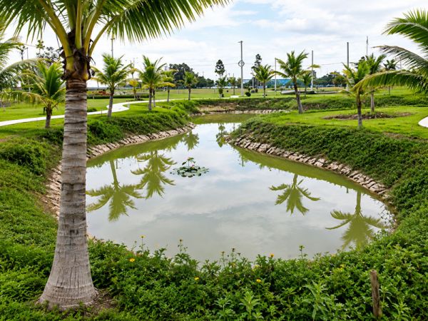 Thi công công viên Khu dân cư Nhơn Trạch