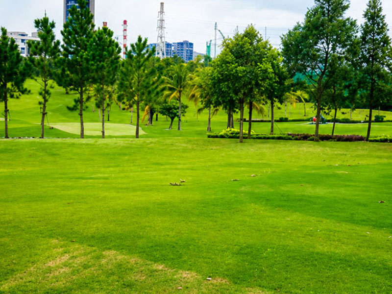 Đơn vị thiết kế và thi công cảnh quan sân golf chuyên nghiệp